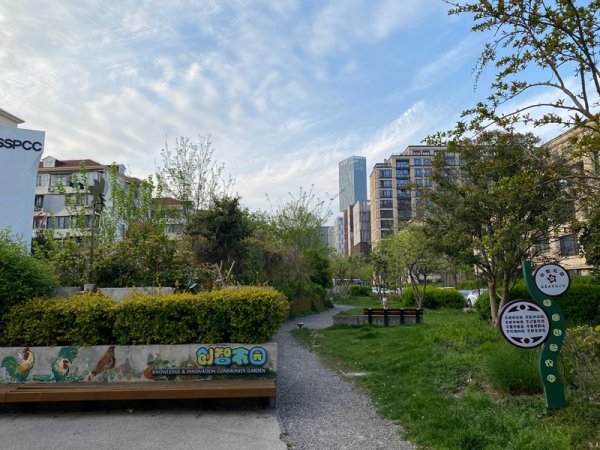 启恒配资 居民参与营造社区花园，用花草和泥土凝聚人心